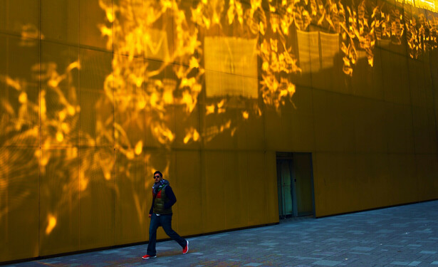 Man walking in front of a high yellow wall. Light is spreading patterns on the wall