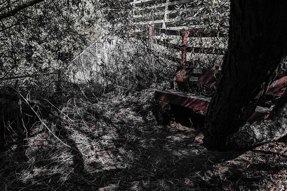 A brown wooden bench covered with graffiti, under a tree with scattered sticks all over the ground. Two fences, one chain link and one made of wooden slats. And lots of shadows.
