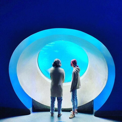 Two girls looking at fish tank 