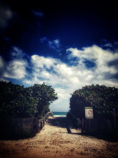 Narrow path in between bushes to the beach