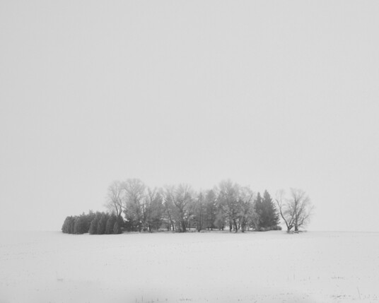 picture of house surrounded by trees in a snow-covered field