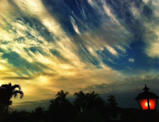 Evening sky of golden clouds in blue to aqua color sky. There’re some shadowed palm trees on the bottom and street light on right corner 