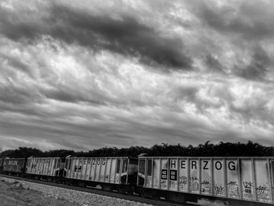 Containers on the railroad abandoned. Black and white photo