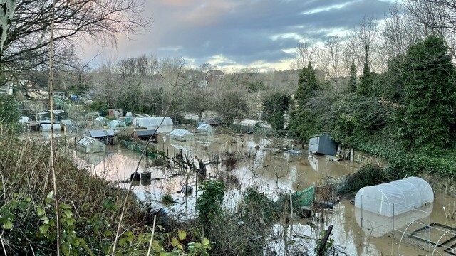 Edinburgh City Centre, picture over allotments adjacent to Water Of Leith. Allotments fully flooded by the river.