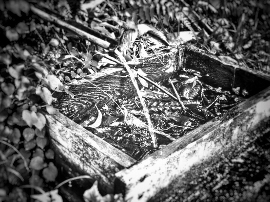 Water falling on the little old wooden frame on the ground. There’re lots of leaves fell from tree.. water is falling through the bamboo half cut stem 