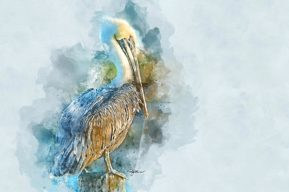 Abstract Watercolor image of a pelican sitting on the pier with soft blue background 