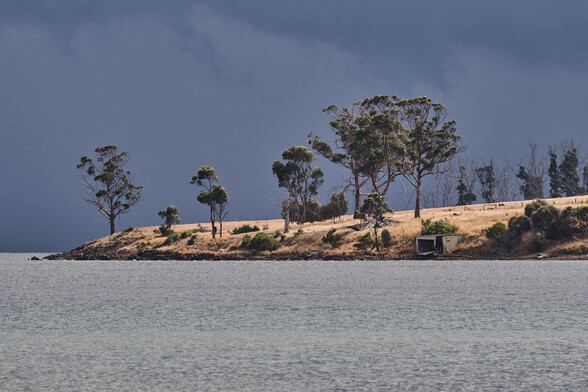 A rocky shoreline with dry grassed hillside and scattered gum trees lit from the right by sunlight peeking through dark clouds (out of the frame).  The shore curves right to left around a point.  The sea in the foreground a green grey, the clouds behind a deep steel blue grey as the rain storm approaches.