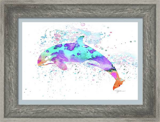Colorful abstract watercolor digital painting of a killer whale with white background with paint spatters 