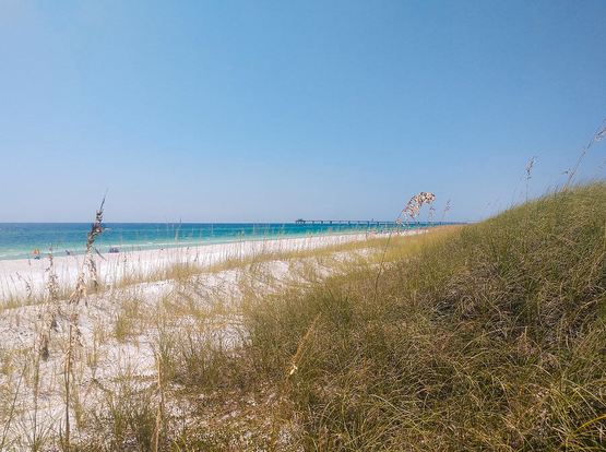 Photo of sand dune with beach and ocean view
