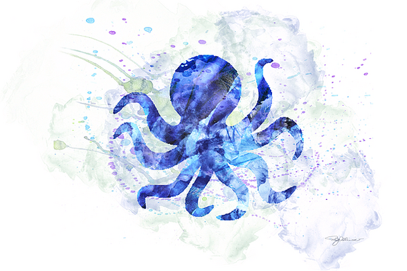 Blue watercolor abstract Octopus on white background 
