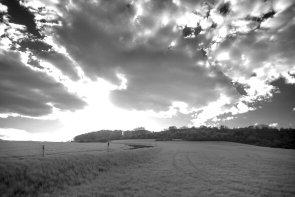 Black-and-white high-contrast infrared shot: the lower third shows a road leading up a hill. At the top of the hill is a forest. The upper two thirds are filled by structured clouds, hiding the sun behind them.