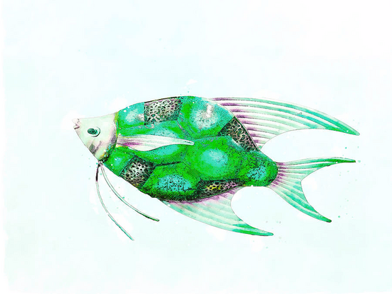 An abstract tropical green fish on white background 