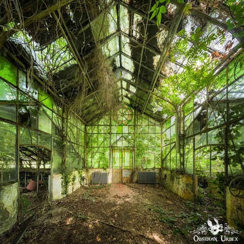 Photo of an abandoned greenhouse, the outside is overgrown so everything looks green. There is a circular stained glass window above the door