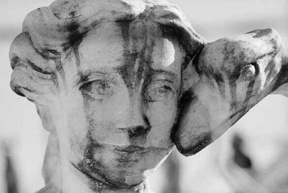 The weathered face of a statue stands poised in an endless stare with a swan head nestled close.