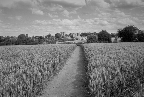 Black and white photo showing a footpath leading through a field of ripe rye, ready for harvesting, drawing the eye towards Kenilworth Castle perched on its low hill. Light clouds above