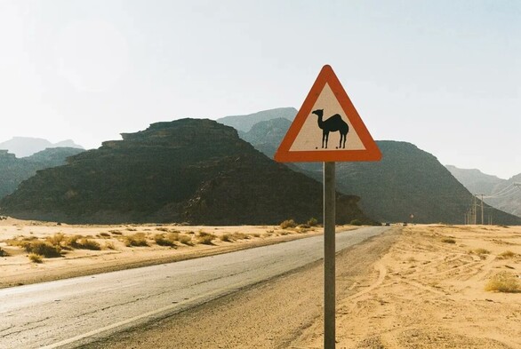 a road through the desert, with rocky outcrops in the distance. there is a red triangle sign, warning of camels, in the foreground
