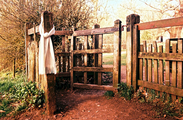 A light-coloured scarf is tied to the post of a kissing gate, presumably placed there by its finder. Bare branches visible behind.