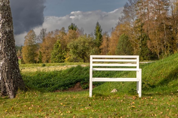  A white bench standing on lush green grass. On the left hand side is a tree try, on the right a small  grassy mound(?). In the background you can see trees and dark clouds 