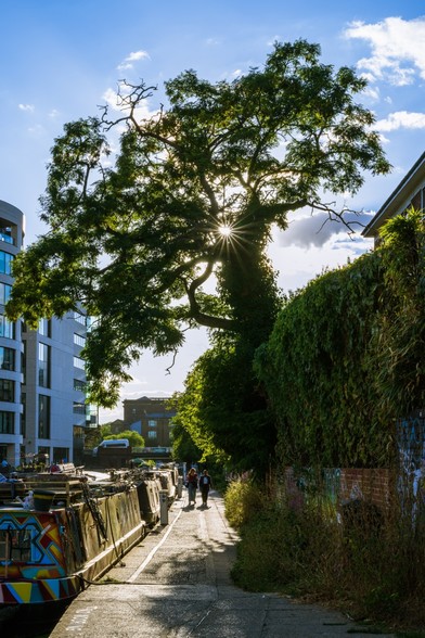 Sunstar through tree overhanging Regent's Canal towpath with canal boats moored at the side near Coal Drops Yard, London
Captured by Komeil Karimi