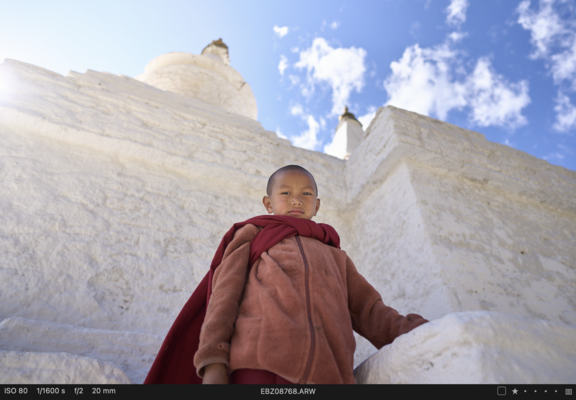 Little monks. Big ideas.
