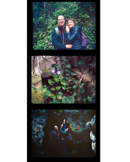 triptych. a photo of a couple in the woods, a purple flower and vines, a couple posing in a cave holding a vine