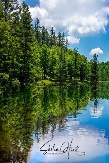 Vertical view of Bass Lake on the Moses Cone Estate on the Blue Ridge Parkway near Blowing Rock, North Carolina is shown here with beautiful reflections in summer.  From the Fine Art Gallery of Shelia Hunt.