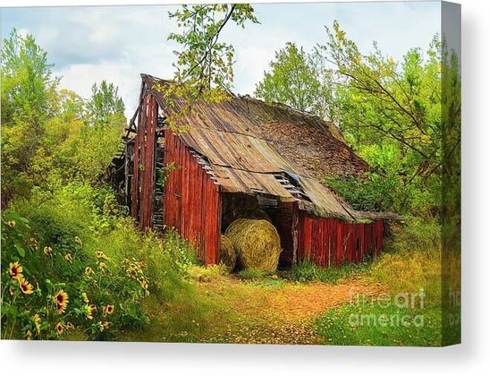 Old red barn, weathered and dilapidated, in Northeast Tennessee.  Image includes warm colors of yellow, green red and brown, and has a textured overlay to enhance the rural setting. From the Fine Art Gallery of Shelia Hunt.