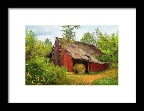 Framed Print: Old red barn, weathered and dilapidated, in Northeast Tennessee.  Image includes warm colors of yellow, green red and brown, and has a textured overlay to enhance the rural setting. From the Fine Art Gallery of Shelia Hunt.
