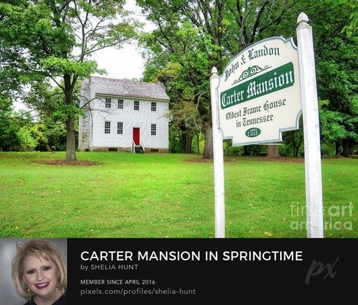 Carter Mansion built ca 1775 at Elizabethton, Tennessee is showcased here in springtime. The white 2-story Federal style home with its beautiful red door is striking, especially against the greenery of Spring.   From the Fine Art Gallery of Shelia Hunt at Shelia-hunt.pixels.com