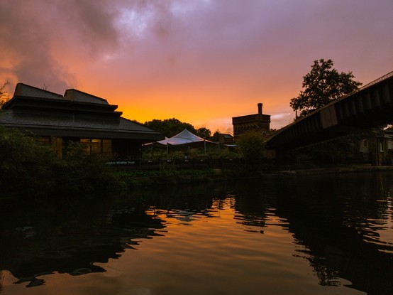 Sunset over Regent's Canal and Camley Street Natural Park, London Wildlife Trust at Coal Drops Yard, St Pancras, London
Captured by Komeil Karimi