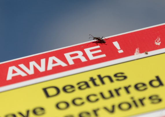 Close-up of a warning sign with the words 