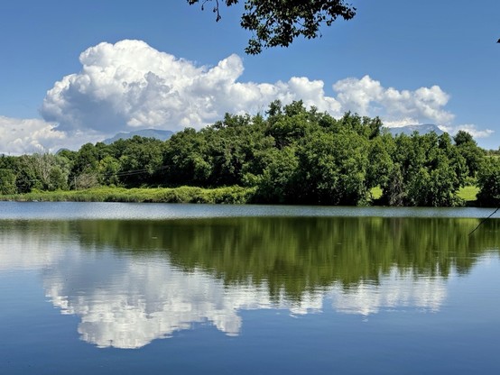 On a perfect blue sky day, a forest and a cumulus of perfectly white clouds reflect on a calm lake surface.