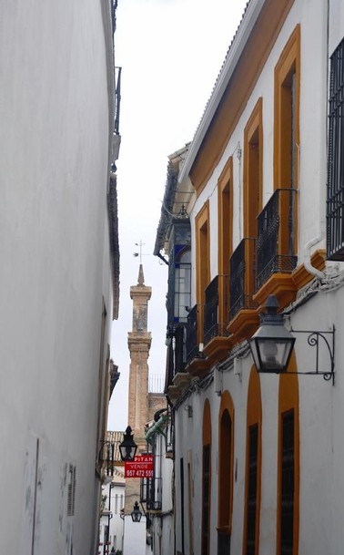 Check out this photograph / digital artwork that would look great framed and hanging on your wall in your home or office or produced on a variety of products.

Córdoba or Cordova in English, is a city in Andalusia, southern Spain, and the capital of the province of Córdoba 

https://john-hughes-photographic.pixels.com/featured/cordoba-city-scenes-54-john-hughes-photographic.html

#BuyIntoArt #AYearForArt
#FineArtAmerica #Pixels #mastodonart #mastodonphotography #mastodonworld #photography #landscapephotography  #Cordoba #Spain