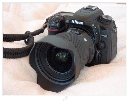Side-frontal close-up of a black Nikon D7500 camera body with a mounted black Sigma 24mm f/1.4 DG Art lens. The camera is fitted with a black wrist-strap and rests on a cream-colored blanket.

AI disclaimer: Using my work, its meta data, written or derived description to create media with or train AI based systems is prohibited.