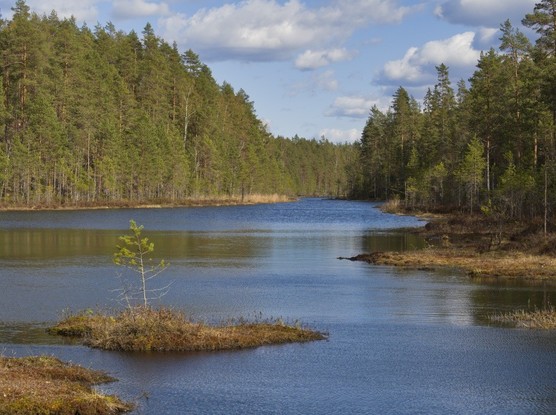 Lake Suolikas, Nuuksio, Finland