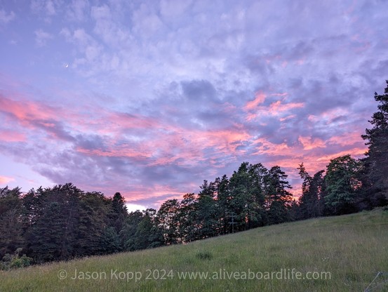 Pink and purple clouds over line trees atop grassy hill