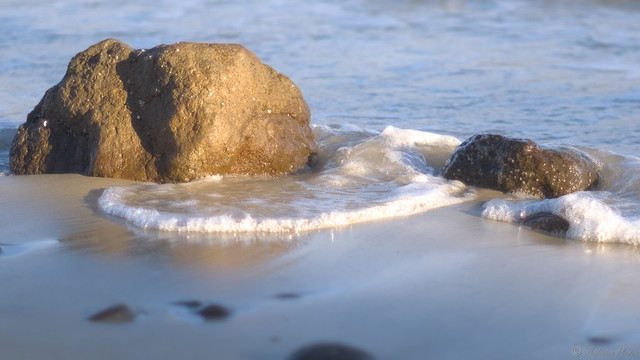 A close up view of boulders on a sandy beach in the golden afternoon sun.  Whitewash foams between them, a trail of bubbles fanning out.