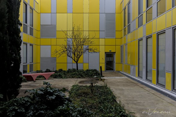 In an interior courtyard of a building with a modern architecture made of yellow rectangular plates and gray ventilation grilles, there is a red bench and a small tree with bare branches.