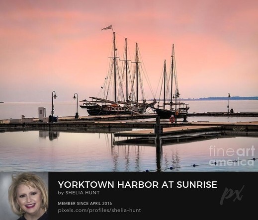 Sunrise at the harbor in Yorktown,Virginia, with 2 schooner ships docked in the water, set against a pink morning sky and blue water.  From the Fine Art Gallery of Shelia Hunt.