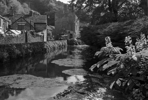 Low key black and white photo of a river running through the village. There is a walled bank to the left, beyond which is a path and some stone buildings, To the right are trees; in the immediate right foreground are some chestnut blossoms. Patches of weed sit on the water's surface. 
