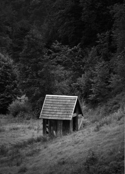 A small, weathered wooden cabin with a pitched roof, situated in a grassy meadow and surrounded by dense forest, captured in black and white.
