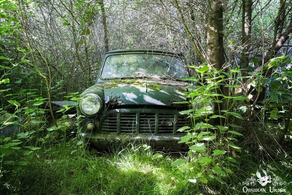 photo of old green car in the woods