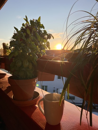 Kaffeetasse auf Balkonbalustrade im Gegenlicht der aufgehenden Sonne. Ein wenig Balkonbepflanzung ist noch zu erahnen. 

Coffee cup on balcony balustrade in the backlight of the rising sun. A little balcony planting is still to be guessed.
