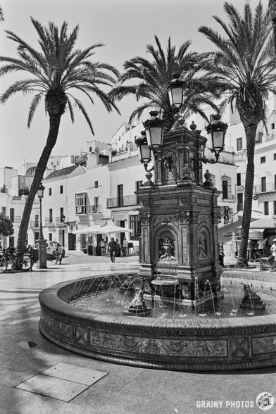 A black-and-white film photo of a water feature in the town square. It is very ornate with statues, carvings and tiles. In the background, you can see the square with palm trees and white houses.