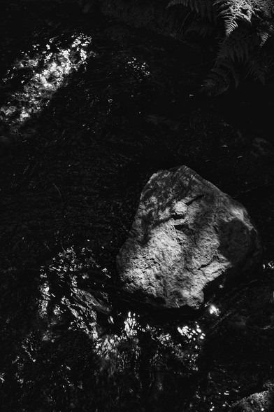 Light falls on a small rock sitting in the fast-flowing dark water of a stream