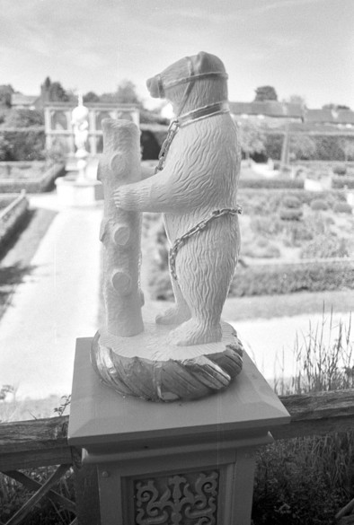 Bear with ragged staff, out of focus fountain in the left hand background. Black and white portrait format photo. Cosinon-W 28mm f/2.