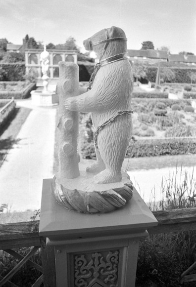 Bear with ragged staff, out of focus fountain in the left hand background. Black and white portrait format photo.  Vivitar (Komine) Wide Angle Close Focus 28mm f/2.8.