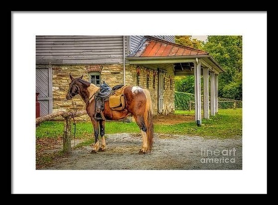 Beautiful chestnut colored horse at the Moses Cone Carriage House on the Blue Ridge Parkway near Blowing Rock, North Carolina. From the Fine Art Gallery of Shelia Hunt
