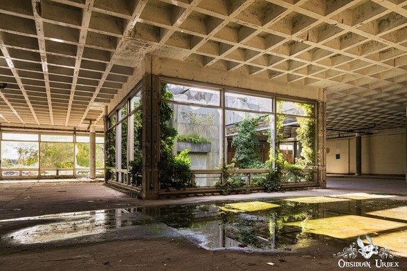 photo of glass cube with plants inside