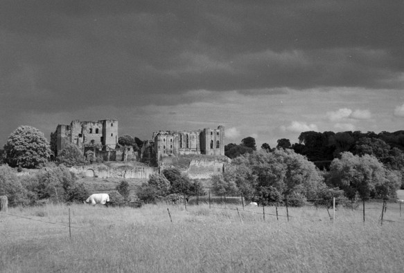 Black and white photo showing a half ruined Kenilworth Castle, lit by late afternoon sun, under very dark clouds. In the foreground is a field where a horse in a jacket grazes.